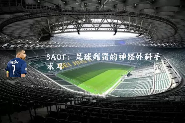 SAOT：足球判罚的神经外科手术刀